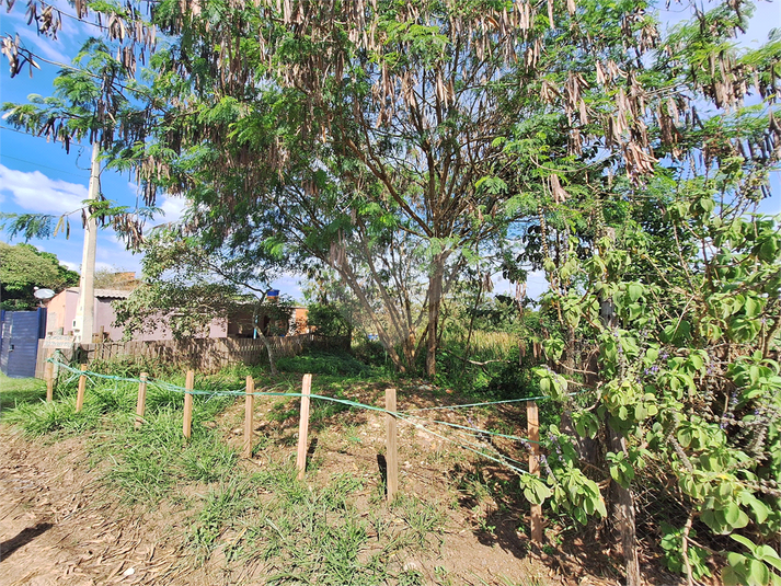 Foto REO1088216
