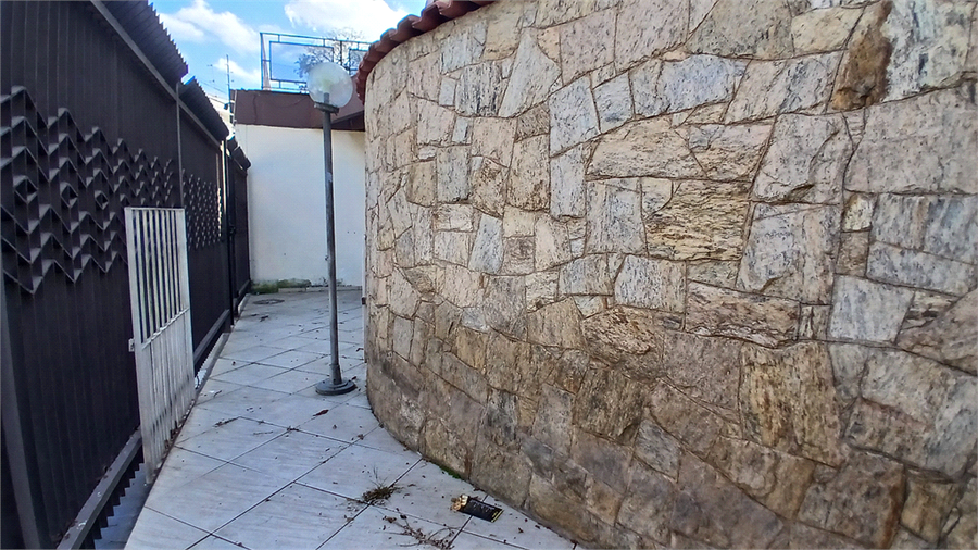Foto REO1088226