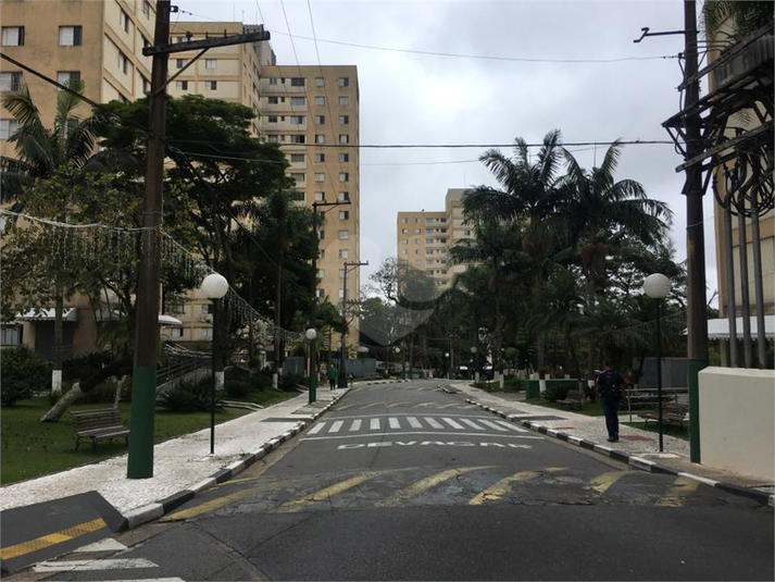 Foto REO1088228