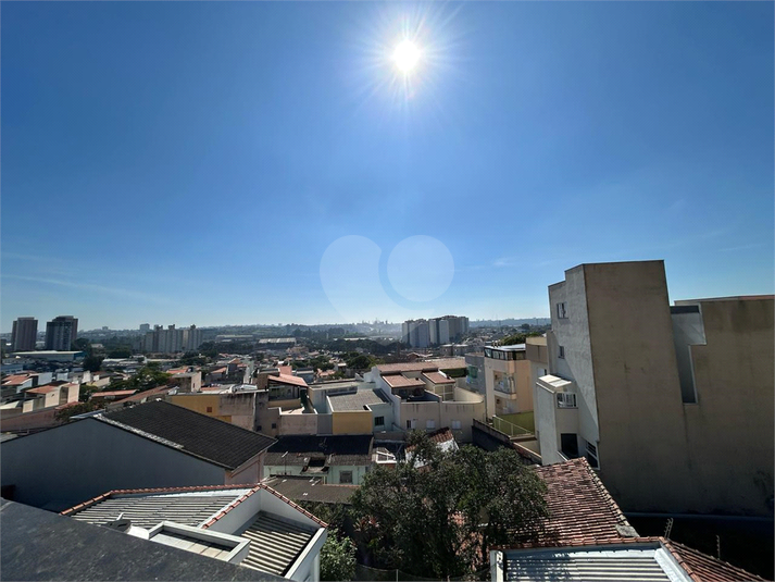 Foto REO1088240