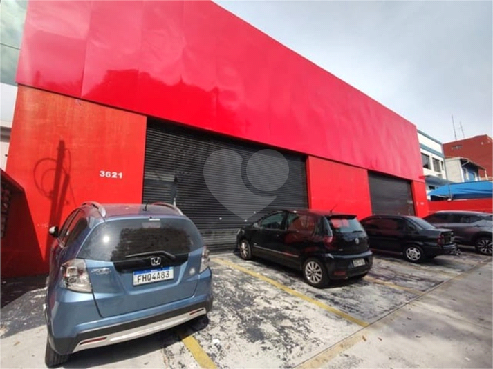 Foto REO1088241
