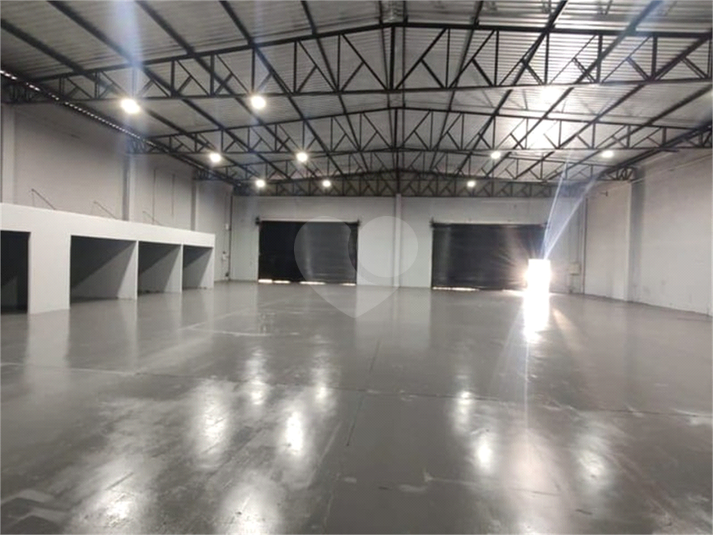 Foto REO1088241