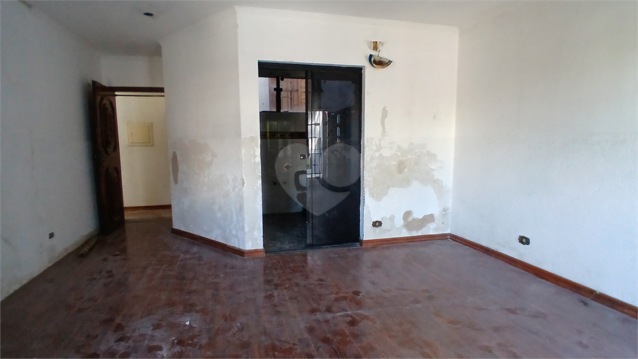 Foto REO1088247