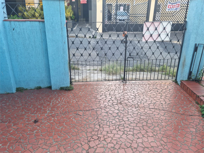 Foto REO1088249