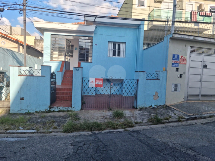 Foto REO1088249