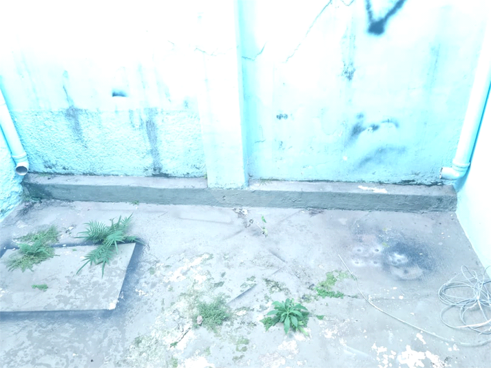 Foto REO1088249