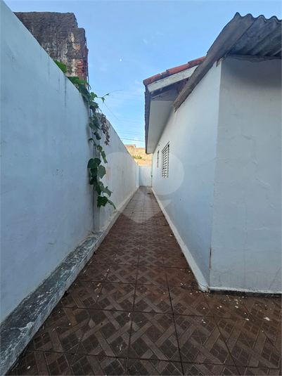 Foto REO1088250