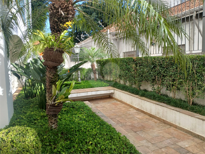 Foto REO1088257