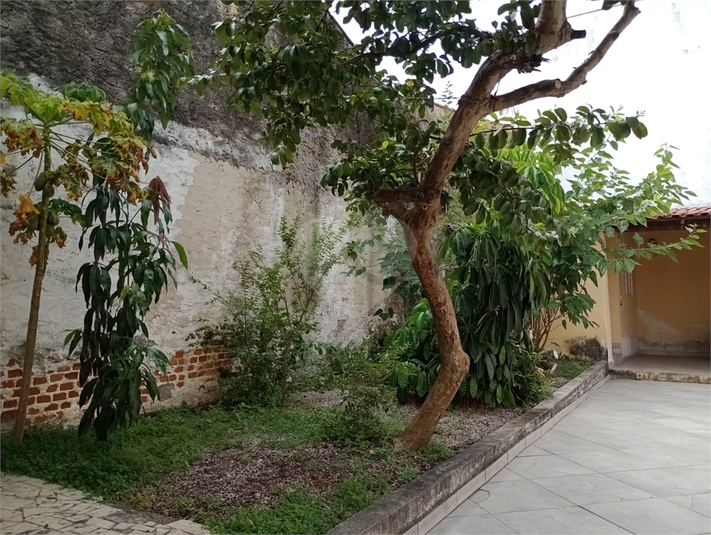 Foto REO1088260