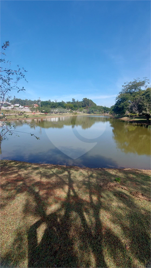 Foto REO1088265