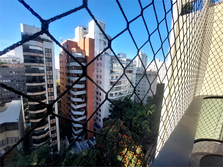 Foto REO1088278