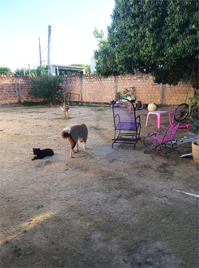 Foto REO1088280