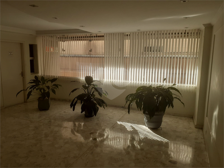Foto REO1088284