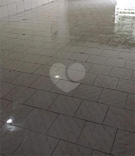 Foto REO1088292