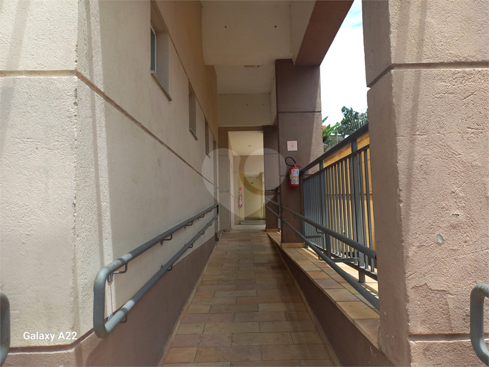 Foto REO1088307