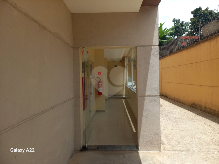 Foto REO1088307