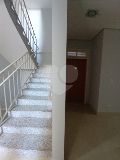 Foto REO1088310