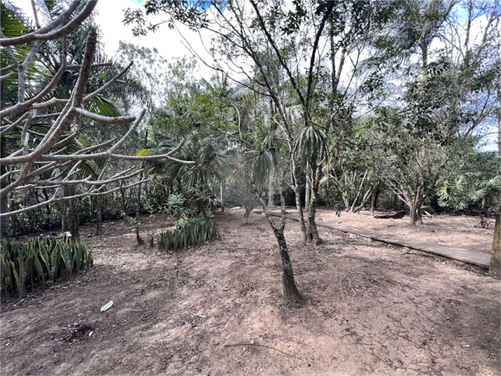 Foto REO1088316