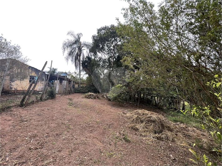 Foto REO1088316