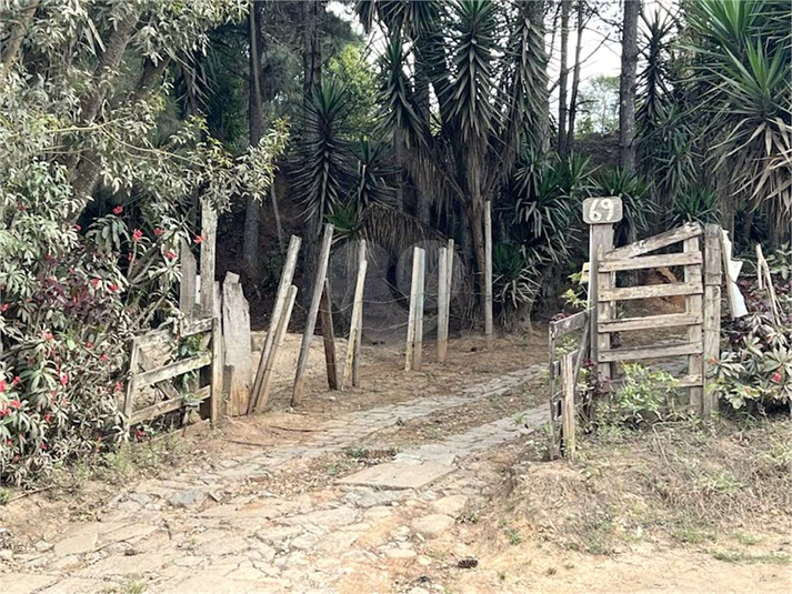 Foto REO1088316