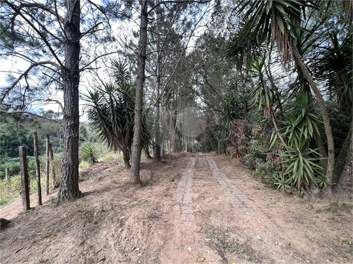 Foto REO1088316