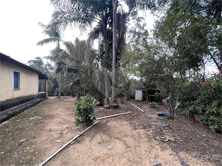 Foto REO1088316