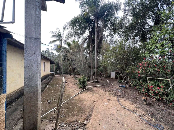 Foto REO1088316