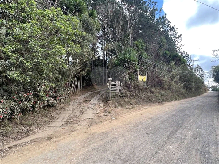 Foto REO1088316