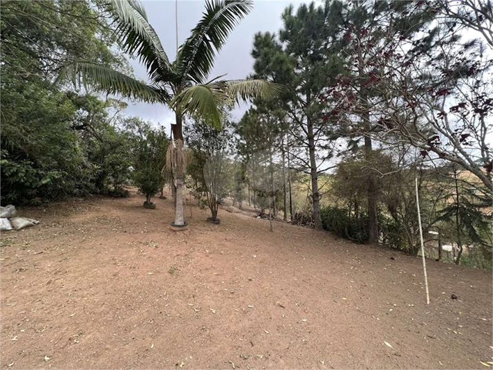 Foto REO1088316