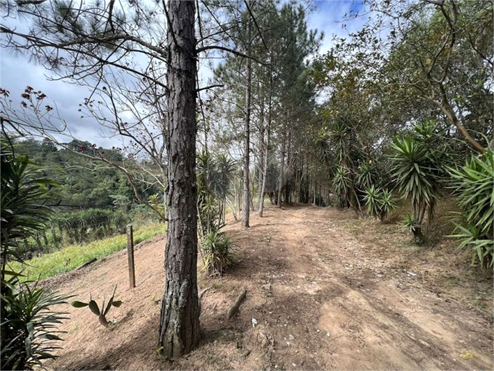 Foto REO1088316