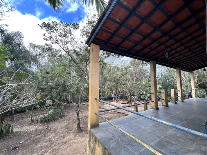 Foto REO1088316