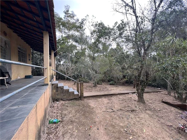 Foto REO1088316