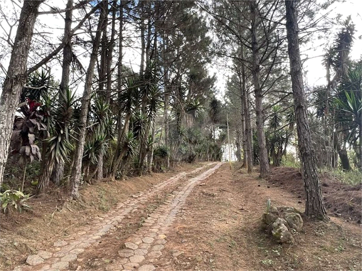 Foto REO1088316