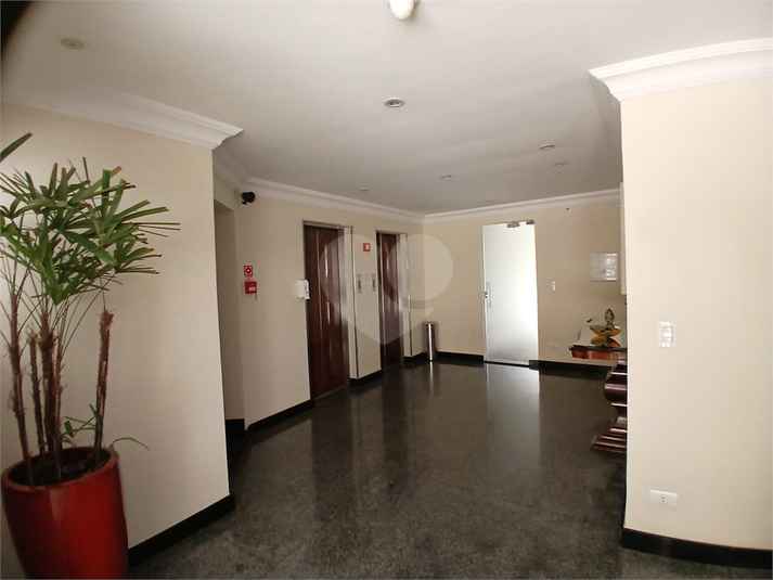 Foto REO1088332