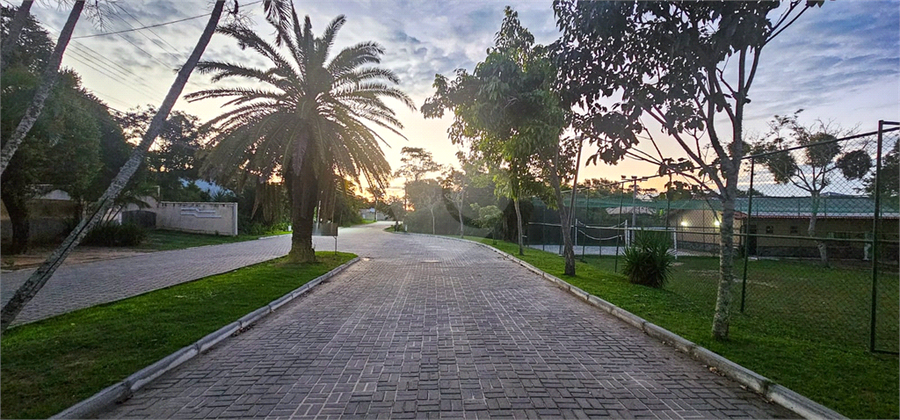 Foto REO1088339