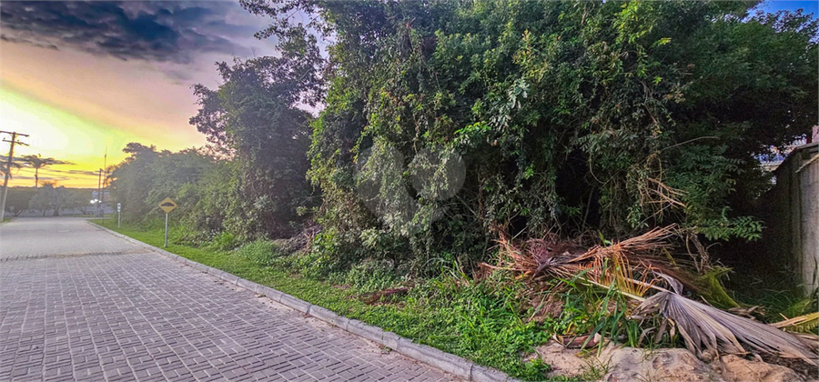 Foto REO1088339
