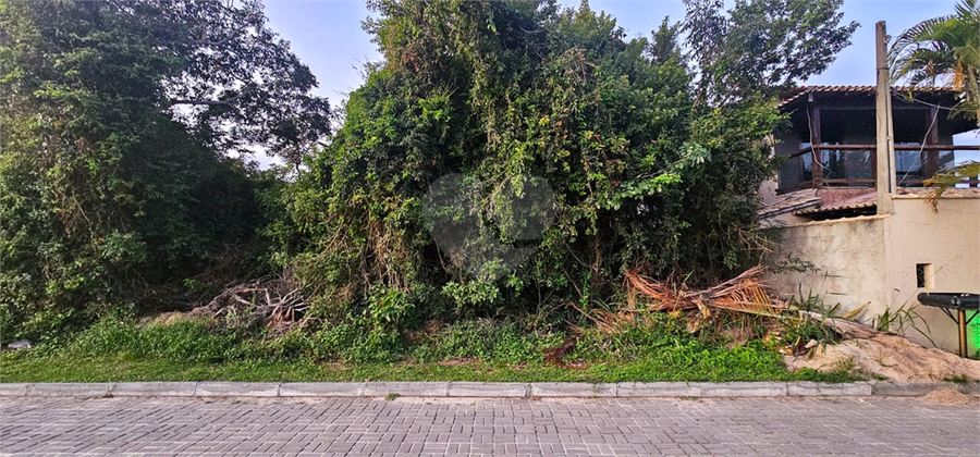 Foto REO1088339