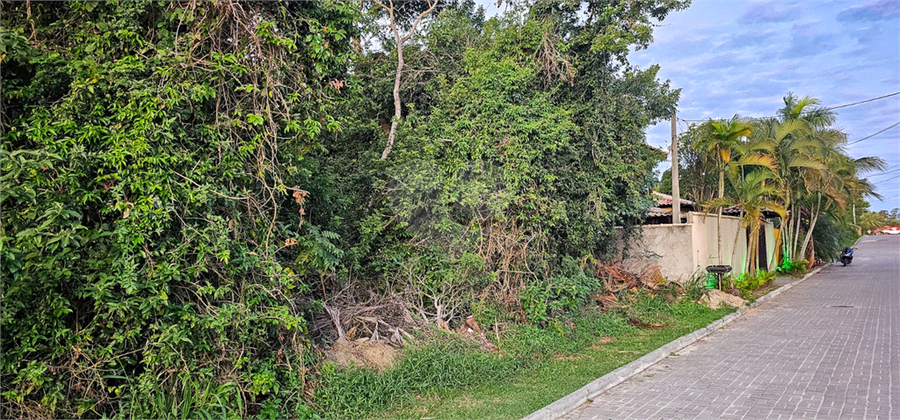 Foto REO1088339