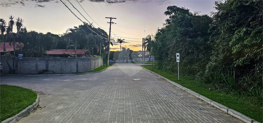 Foto REO1088339