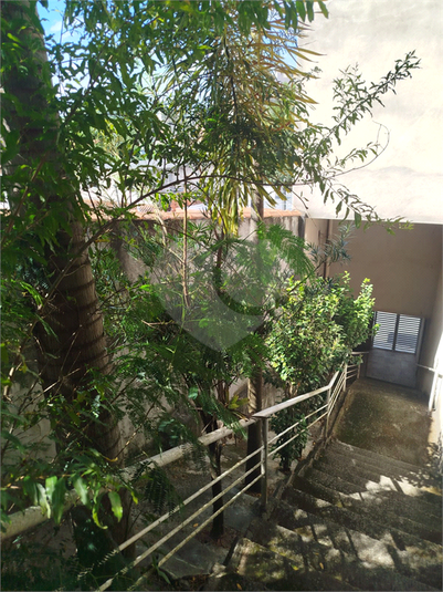 Foto REO1088340