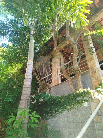 Foto REO1088340
