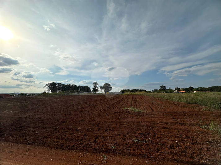 Foto REO1088343