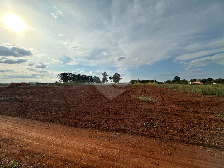 Foto REO1088345