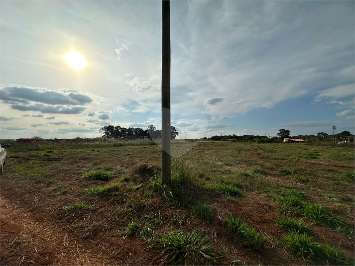 Foto REO1088345