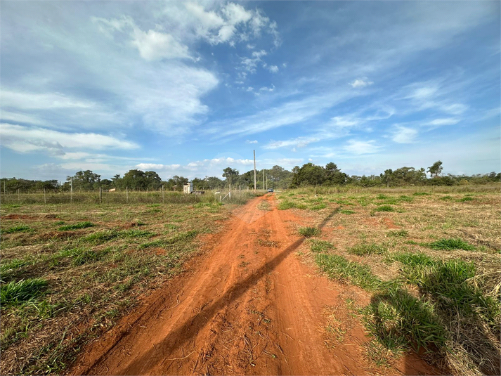 Foto REO1088345