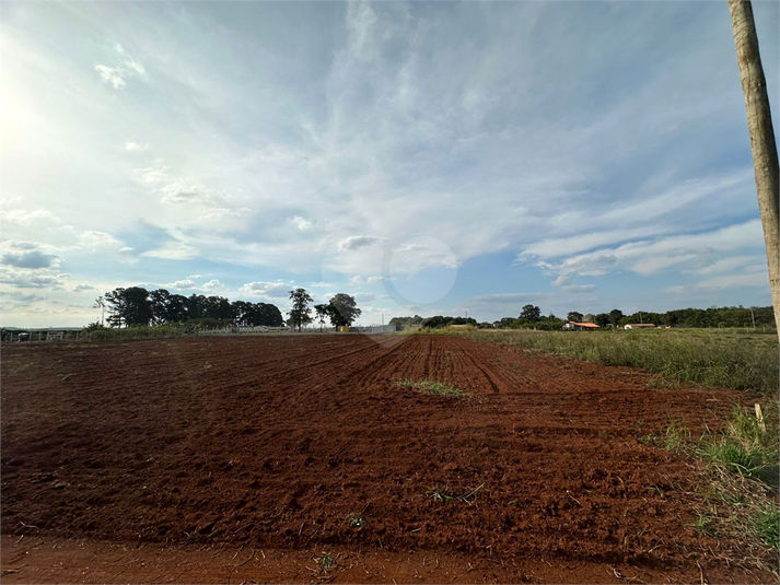 Foto REO1088345