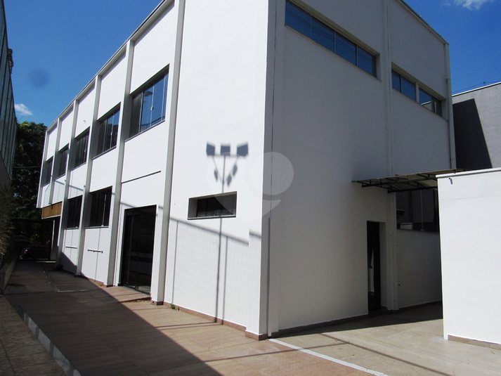 Foto REO108835
