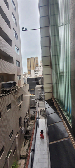Foto REO1088368