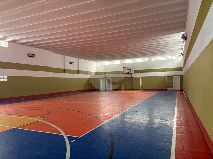 Foto REO1088369