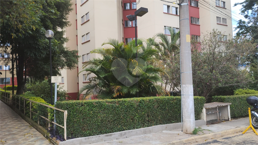 Foto REO1088382